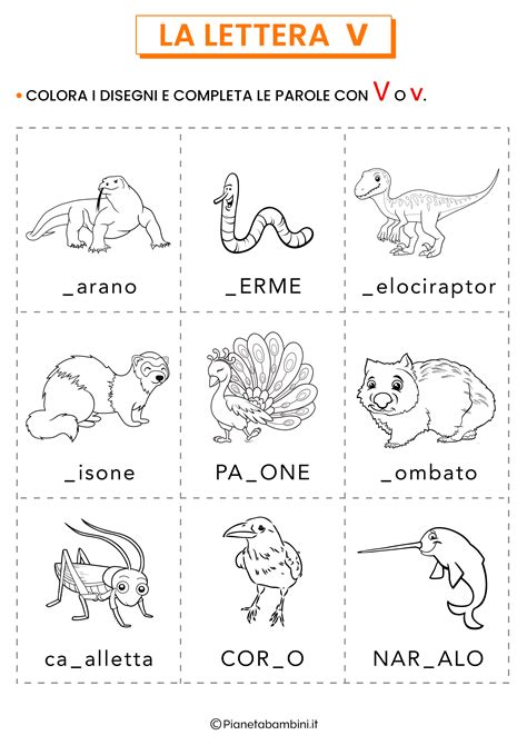 animali che iniziano con la lettera v